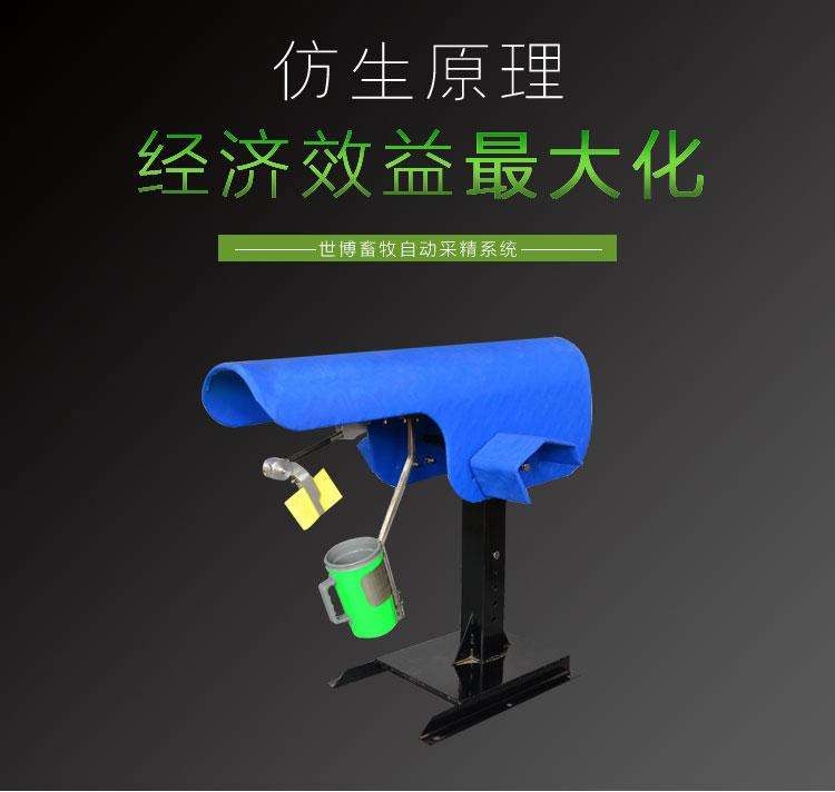 人形电脑天使心下载_人形电脑天使心 人类与电脑相爱 伦理道德变化