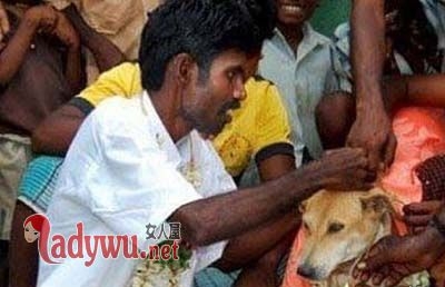 人形电脑天使心 人类与电脑相爱 伦理道德变化_人形电脑天使心下载