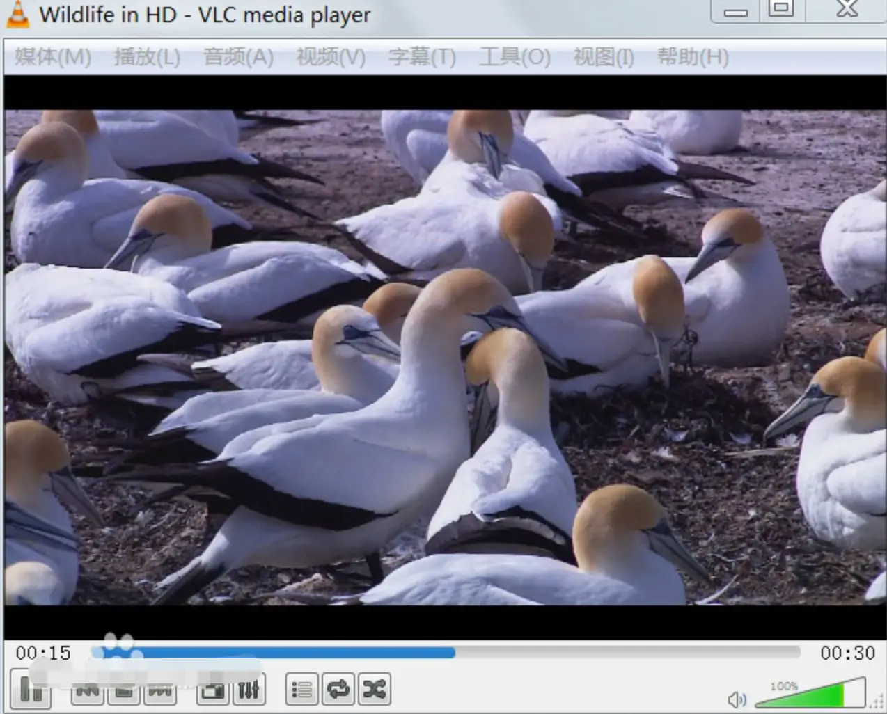 视频格式转换器官方下载_视频格式转换mp4用什么软件_最佳视频格式转换工具推荐