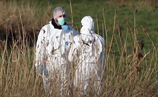 一位荷兰美女想搬回家寻找旧情人，但她的丈夫残忍地将她的尸体切成碎片，并将她的身体部位扔到各个旅游景点。